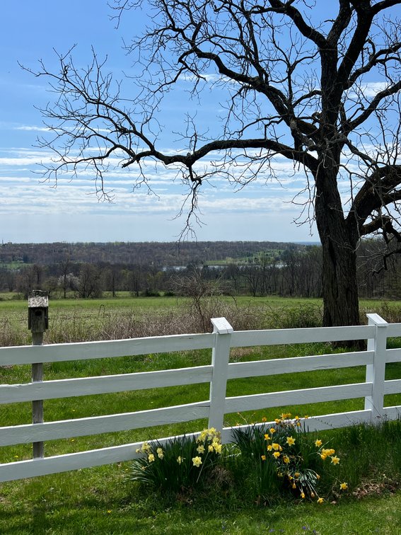 Image for Real Estate Coming Soon | Properties Overlooking Lake Galena ‘Peace Valley Park’ in Chalfont, PA | June 27, 2024 at 4:00 PM
