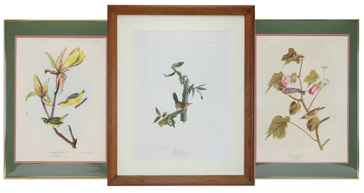 John James Audubon Prints
