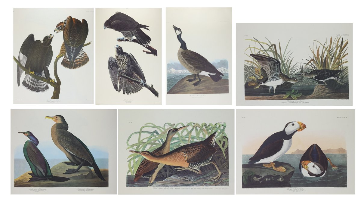 John James Audubon Prints