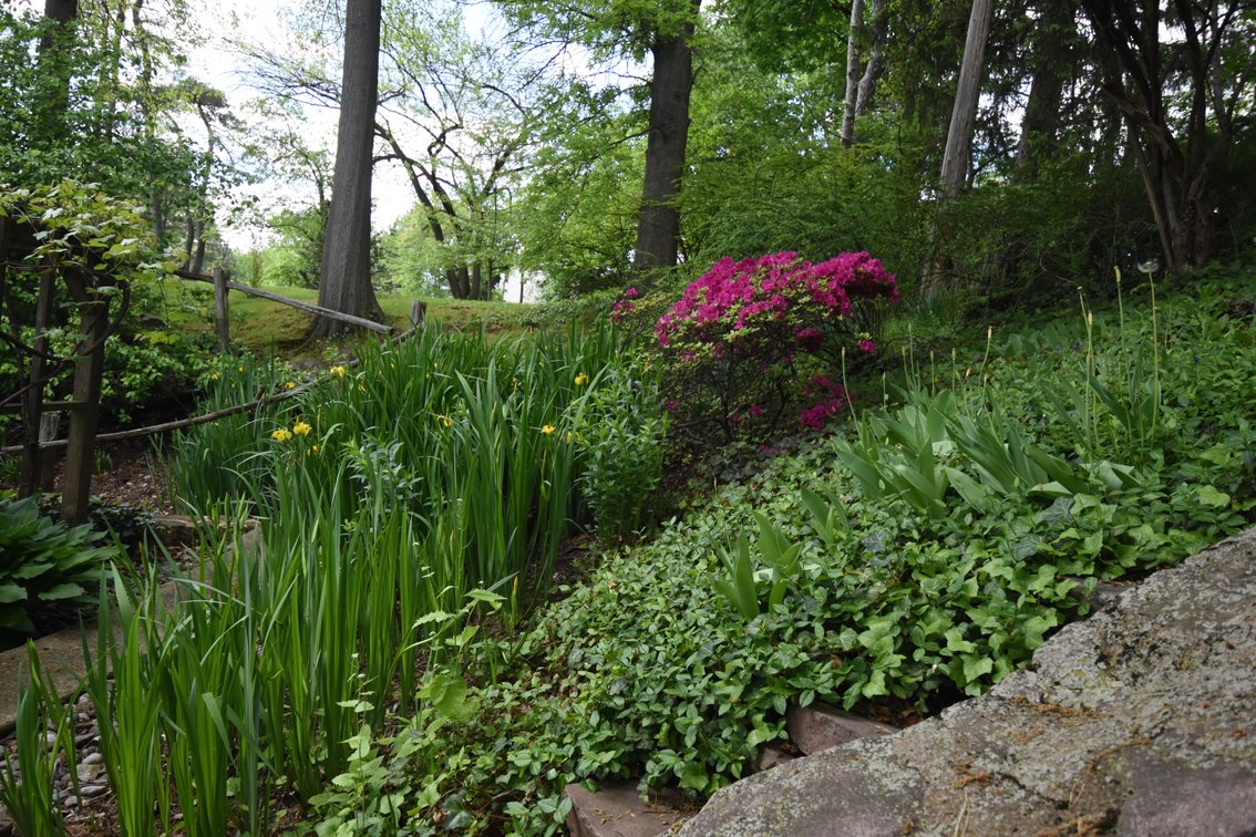 Image for Sold! Real Estate For Auction | 105 E. Logan Street, Norristown, PA 19401 | May 19, 2026 at 4:00 PM