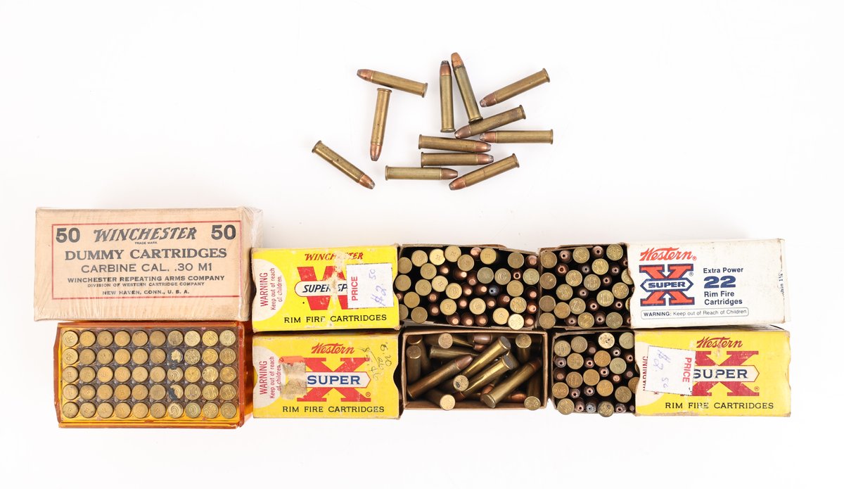 22WMR Ammo Assorted