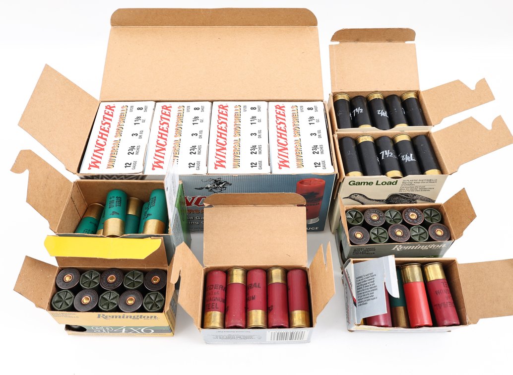 12Ga Ammo Assorted