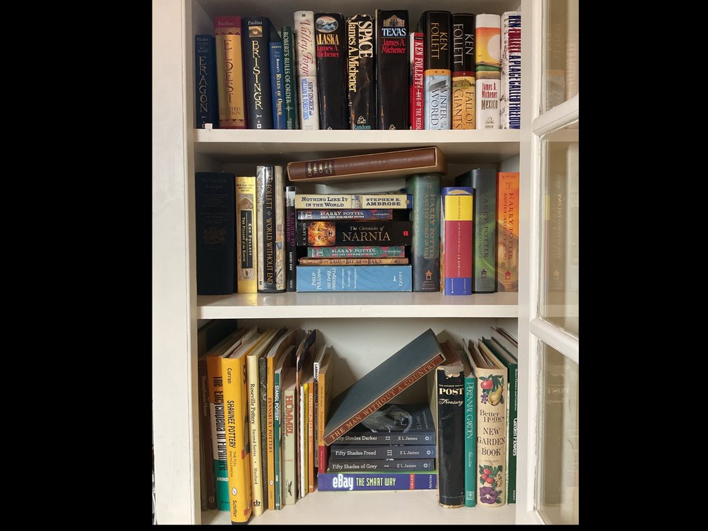 Fiction, Non-Fiction, and Reference Books