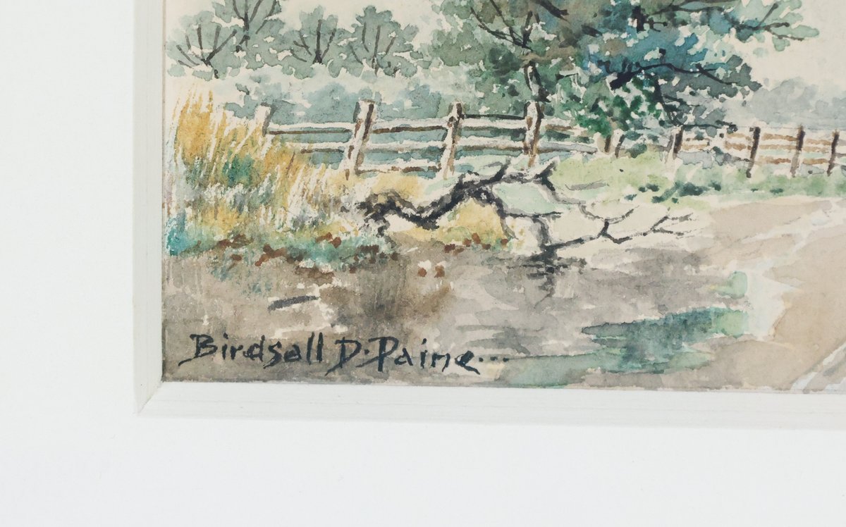 Image for Birdsall Douglass Paine (b. 1858)