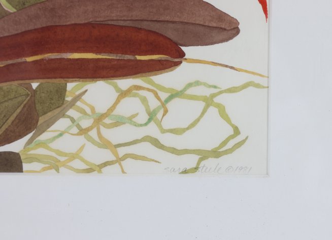 Image for Sara Steele (b. 1954) & Donn DeVita (1931-2010)