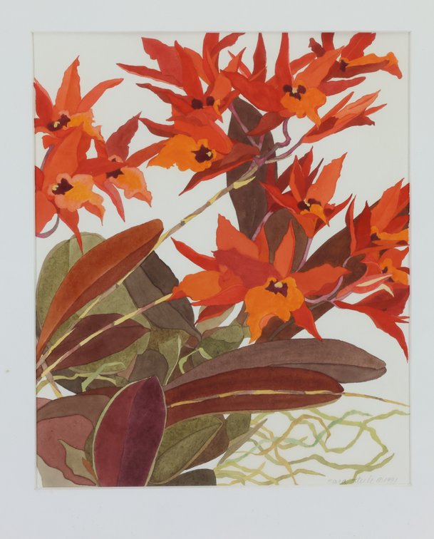 Image for Sara Steele (b. 1954) & Donn DeVita (1931-2010)