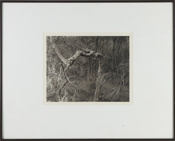 Image for Black & White Photograph