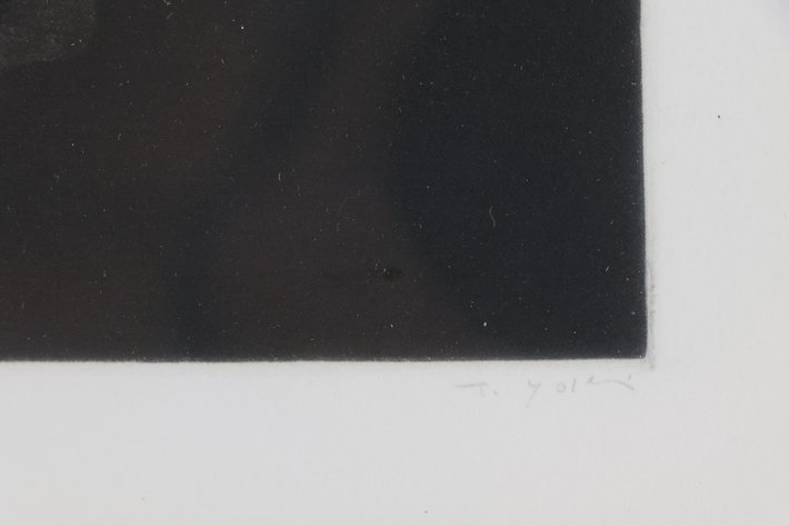Image for Tomoe Yokoi (b. 1943)