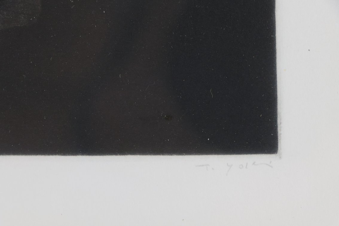 Image for Tomoe Yokoi (b. 1943)