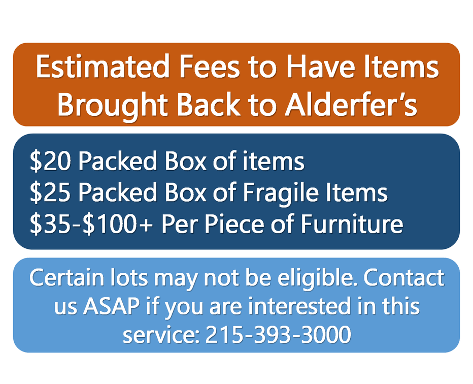 Auction Info