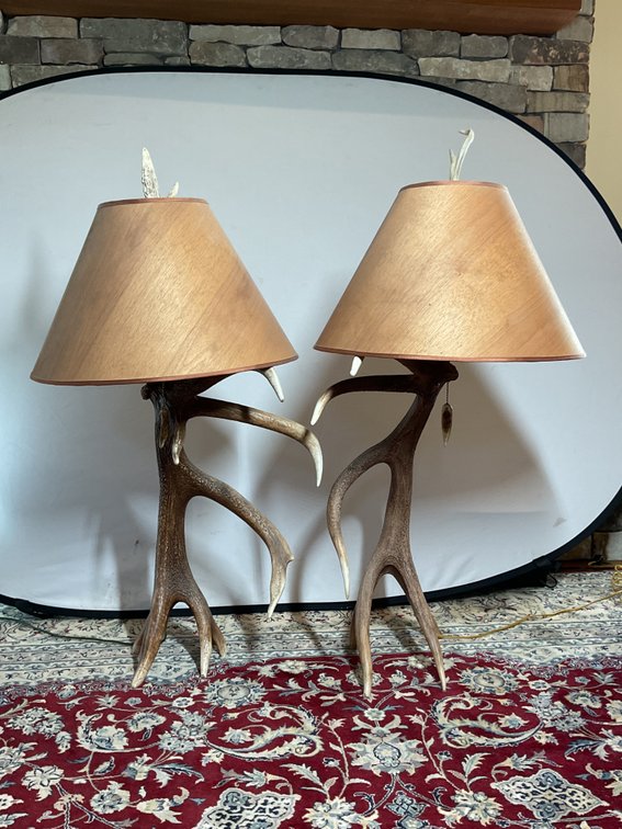 Set of Antler Lamps