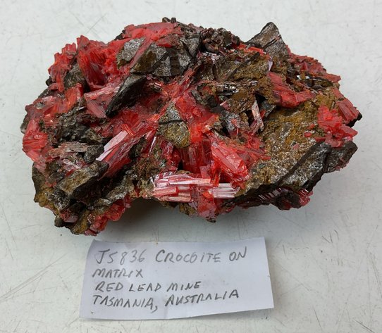 Image for Crocoite on Matrix Specimen