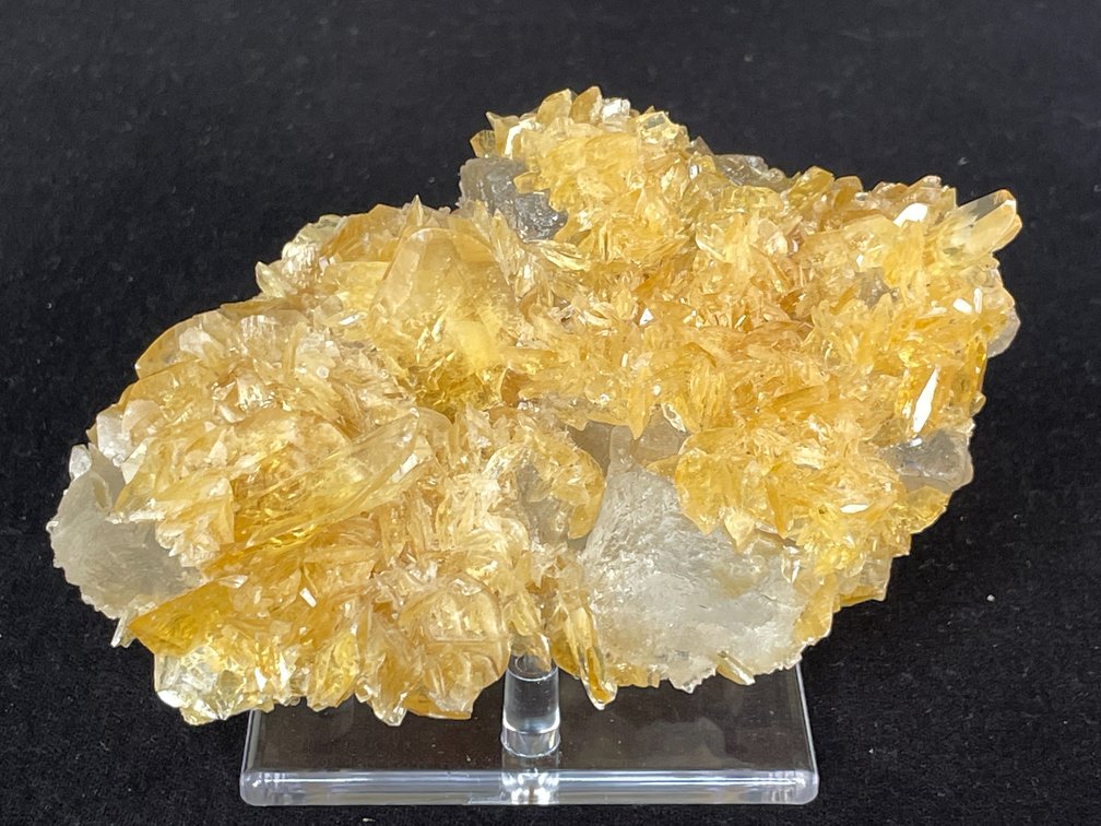Image for Mineral Specimens & Book