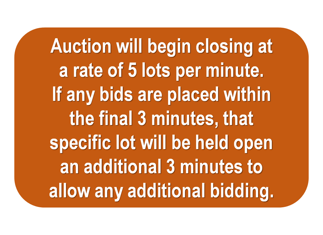 Auction Info