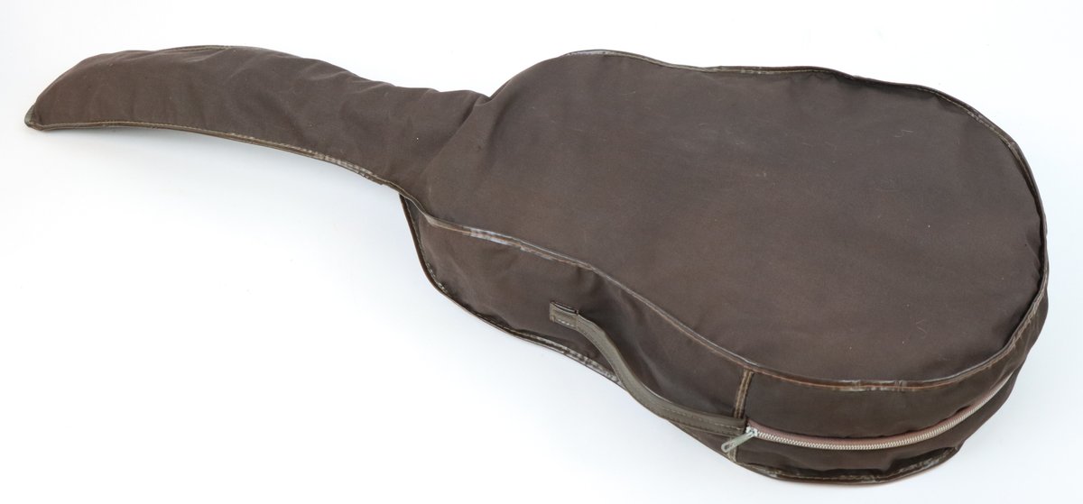 Image for Harmony Arch Top Guitar