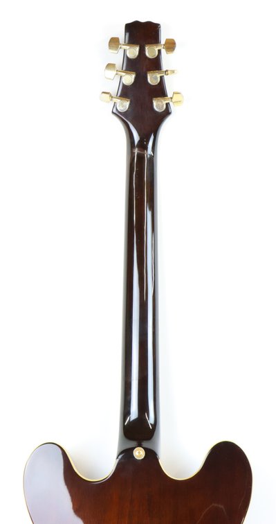 Image for Cort Semi-Hollow Electric Guitar