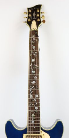 Image for Jay Turser Semi-Hollow Electric Guitar