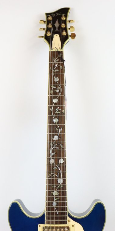 Image for Jay Turser Semi-Hollow Electric Guitar