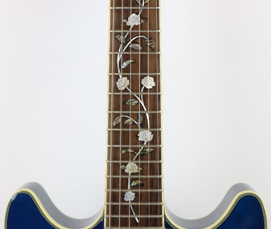 Image for Jay Turser Semi-Hollow Electric Guitar