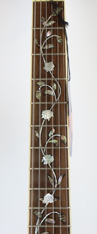 Image for Jay Turser Semi-Hollow Electric Guitar