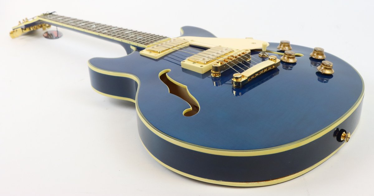 Image for Jay Turser Semi-Hollow Electric Guitar