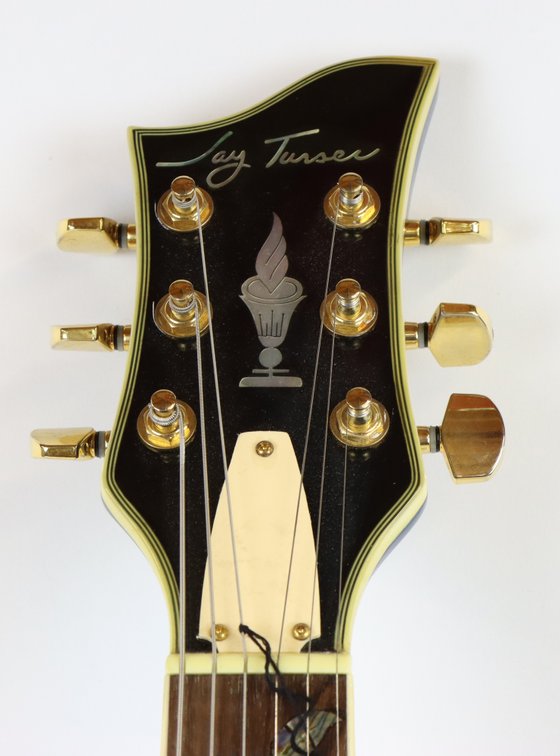 Image for Jay Turser Semi-Hollow Electric Guitar