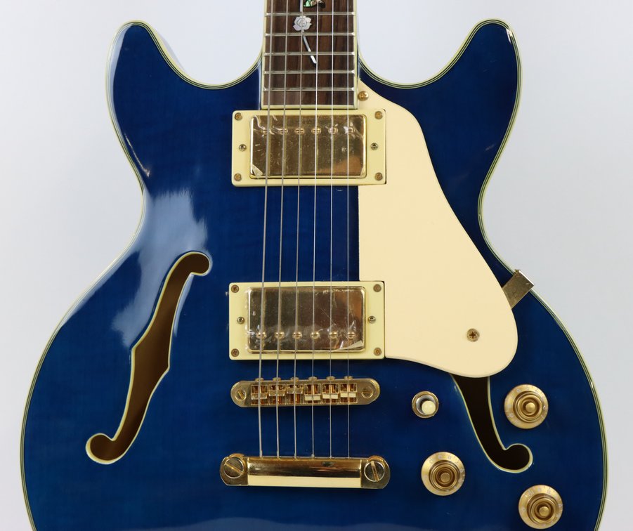 Image for Jay Turser Semi-Hollow Electric Guitar