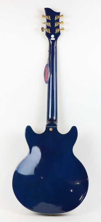 Image for Jay Turser Semi-Hollow Electric Guitar