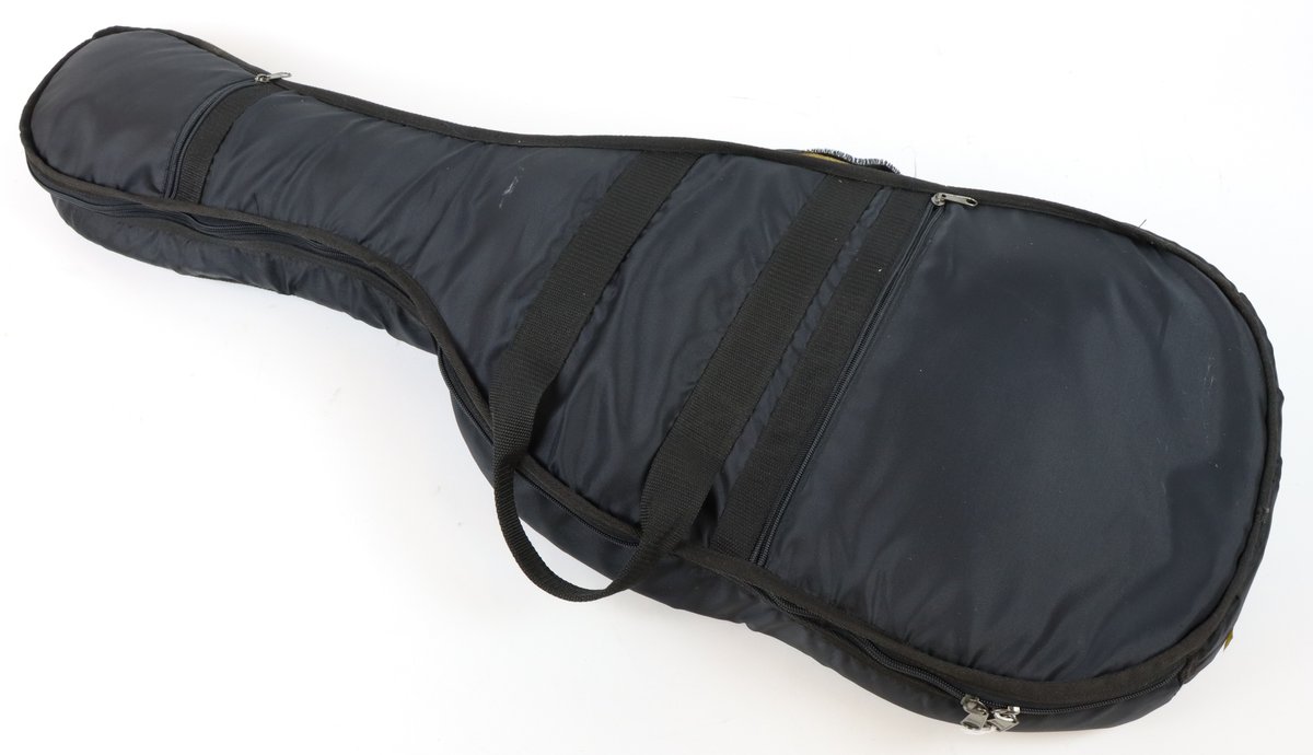 Image for Jay Turser Semi-Hollow Electric Guitar