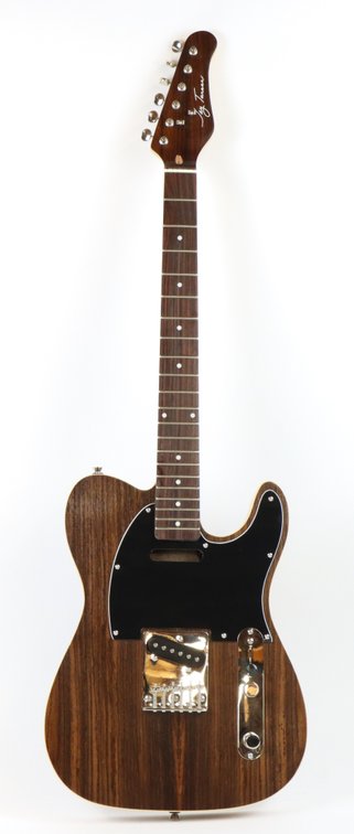 Jay Turser "Tele" Style Electric Guitar