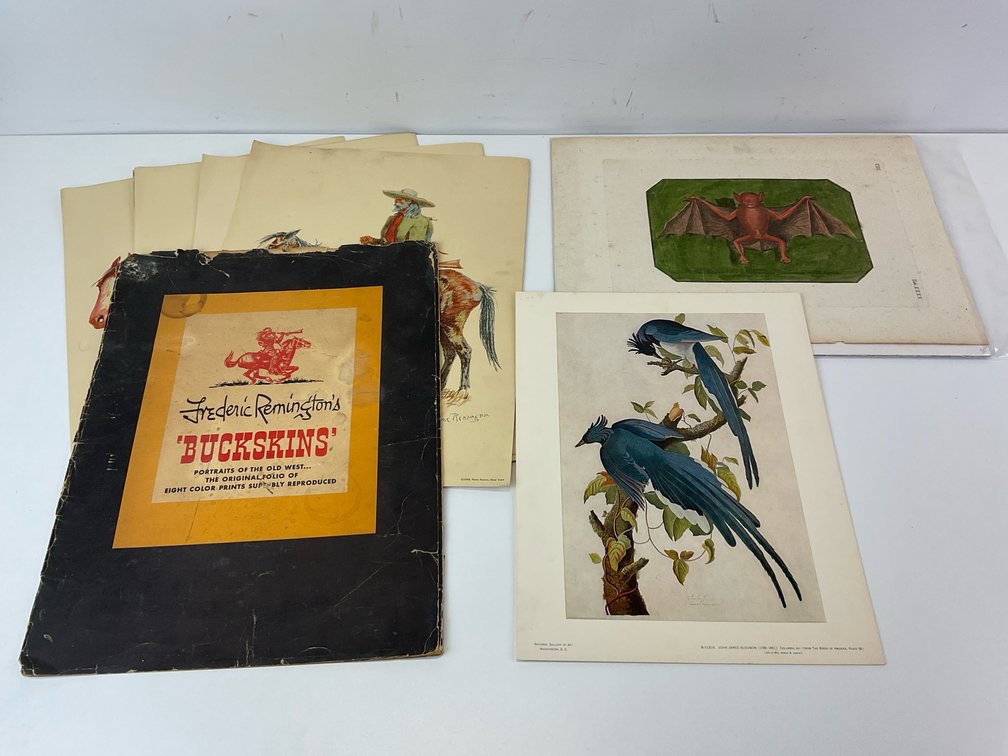 Remington, Johann Daniel Meyer & John James Audubon Prints