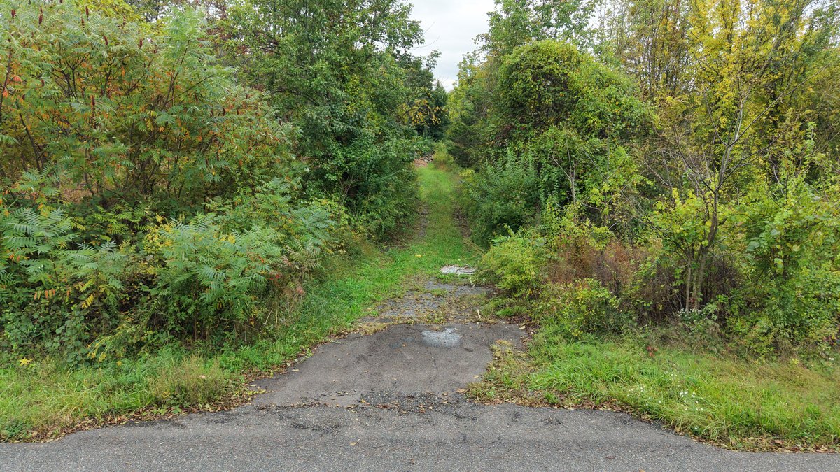 Image for Sealed Bid Land Auction | 8.6 Acres in Plumstead Twp | 5052 Silo Hill Rd, Doylestown, PA 18902 | Bids Due By Nov. 19, 2026 at 4:00 PM