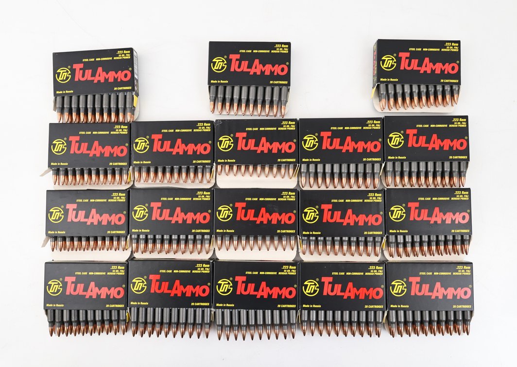 223 Rem Ammo