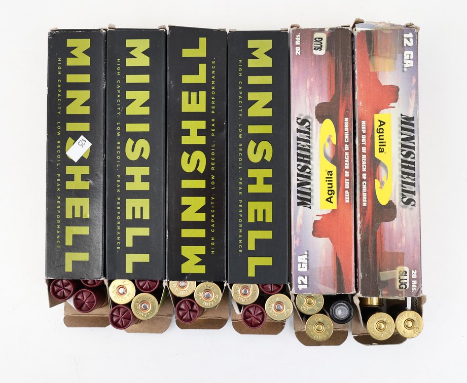 12Ga Mini Shells Buckshot & Slugs