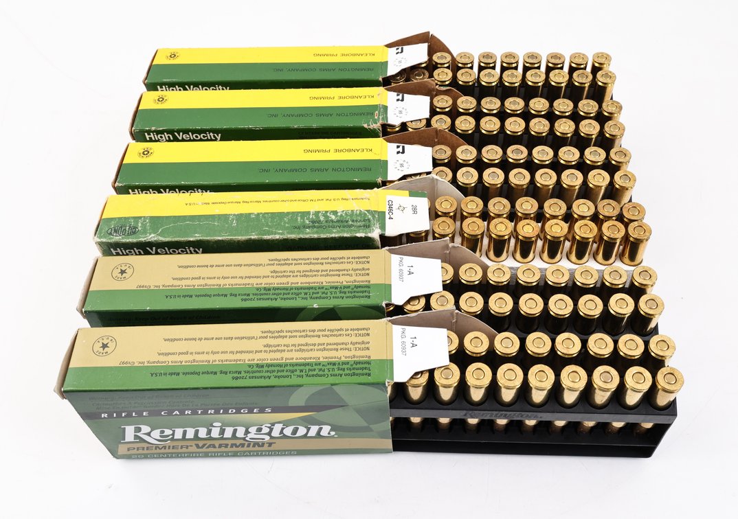 6mm Rem Ammo Assorted