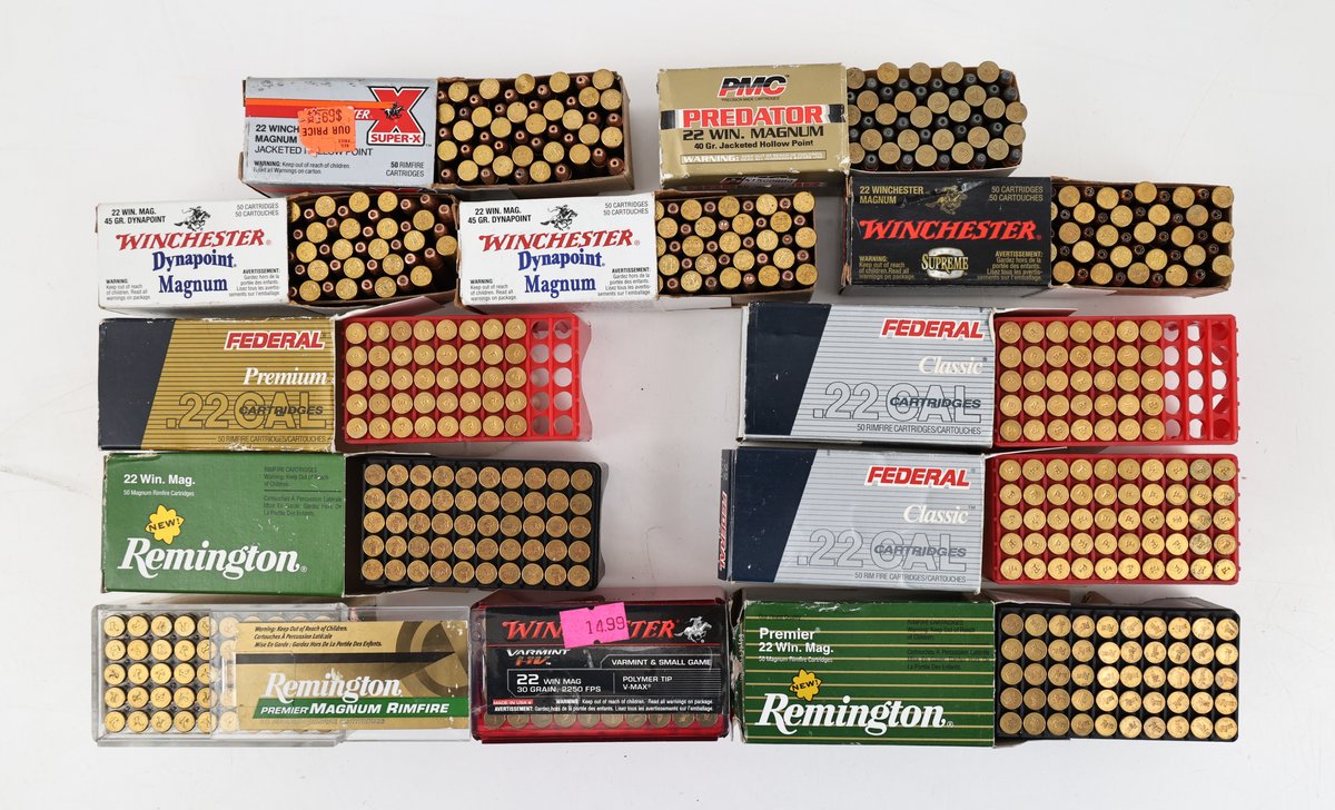 22WMR Ammo Assorted