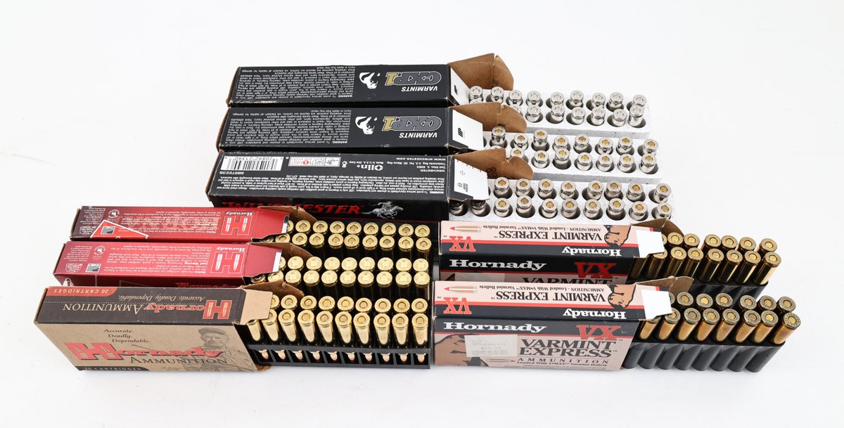 223 Rem Ammo Assorted