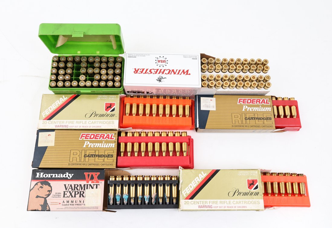 22-250 Ammo Assorted