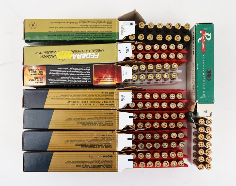 223 Rem Ammo