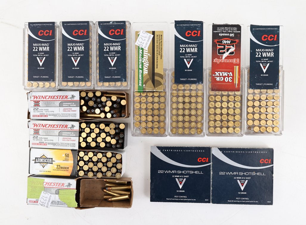 22WMR Ammo Assorted