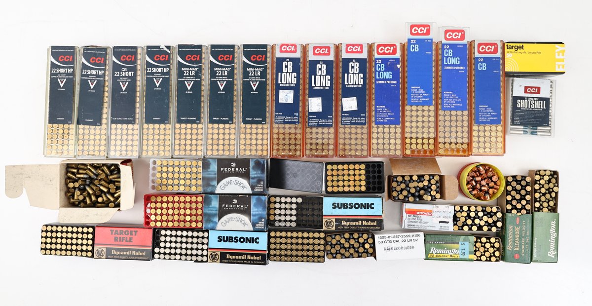 22 Rimfire Ammo Assorted