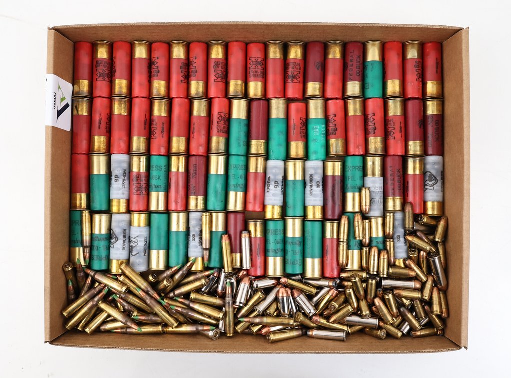 Ammo Assorted