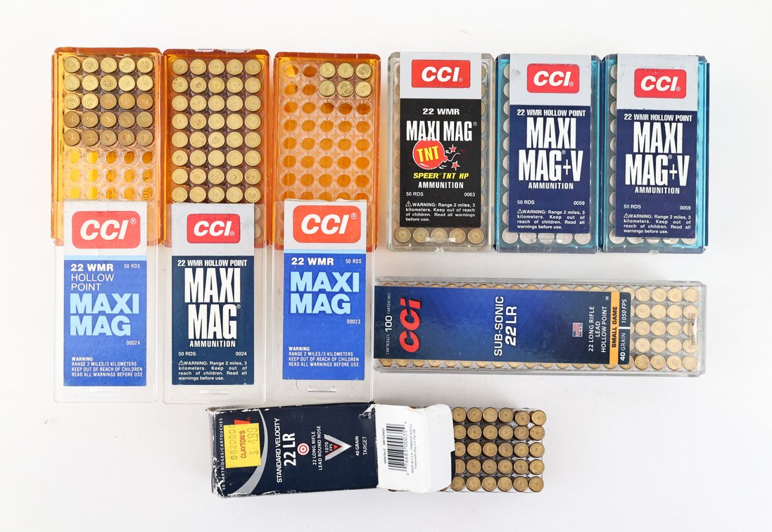 22 Rimfire Ammo Assorted