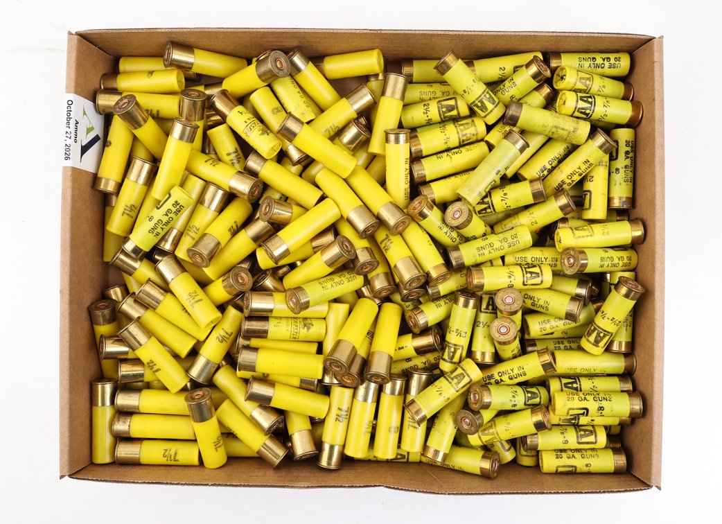 20Ga Reloads