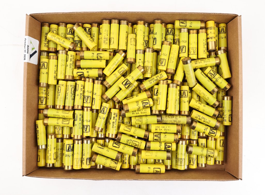 20Ga Reloads