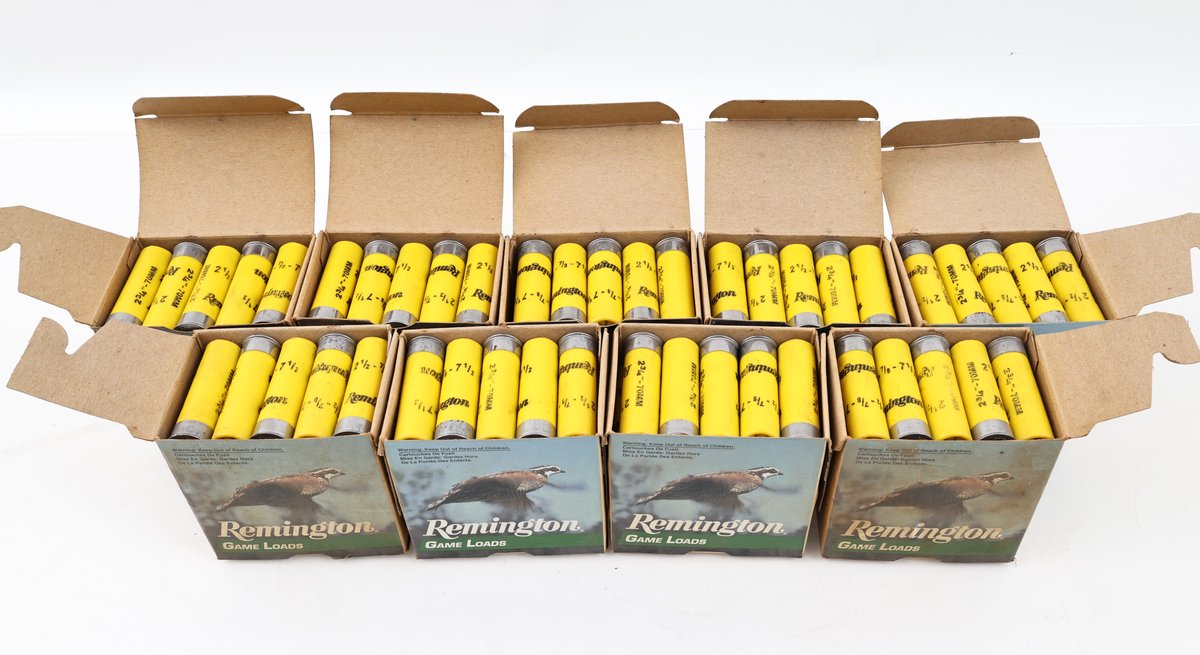 20Ga Ammo