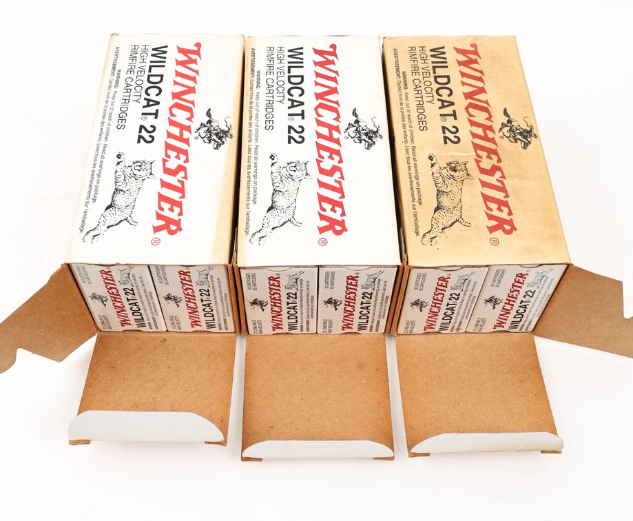 22LR Ammo