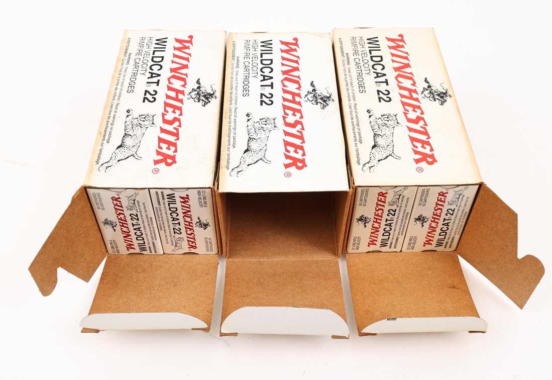 22LR Ammo