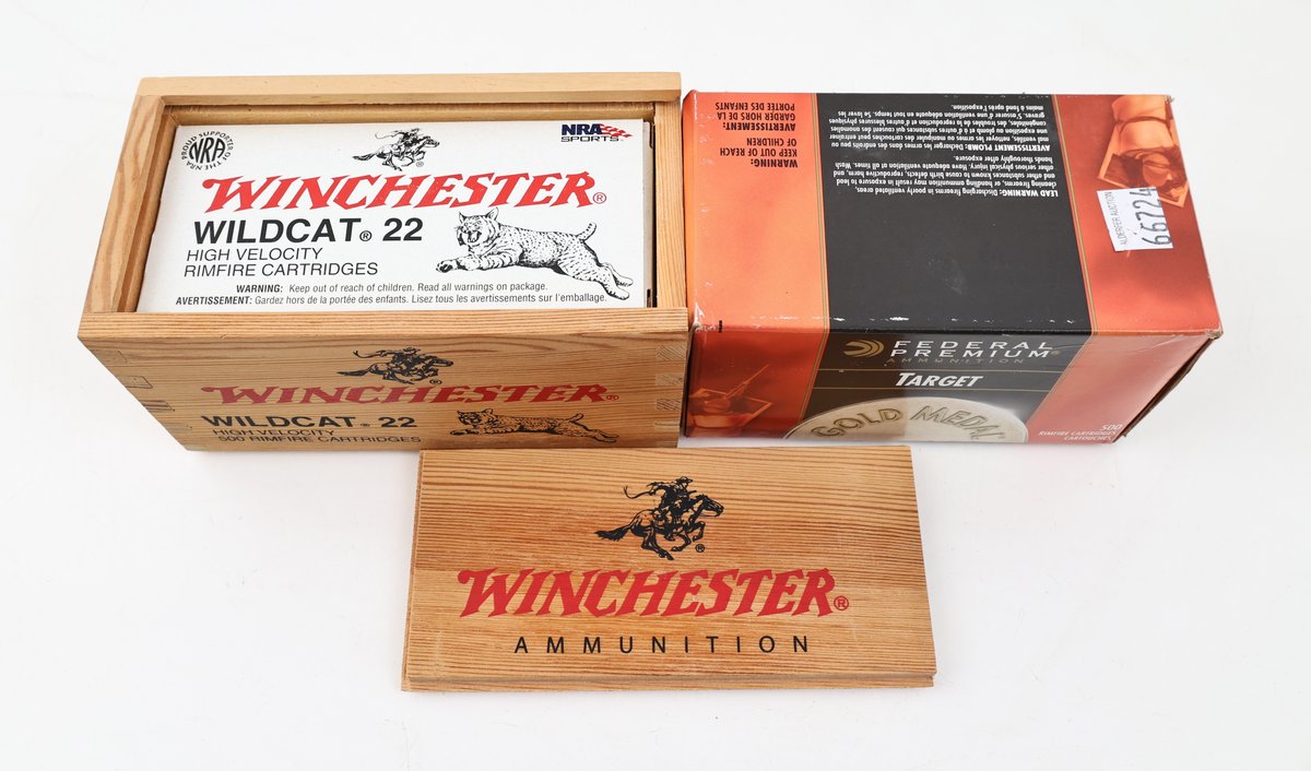 22LR Ammo