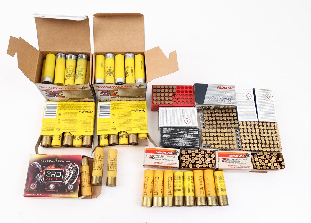 Ammo Assorted